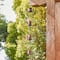 Glitzhome® 8.5ft. Copper Watering Pot Rain Chain